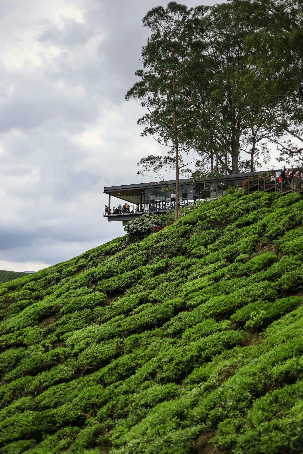 Colonial building on a hill in Cameron Highlands, Malaysia