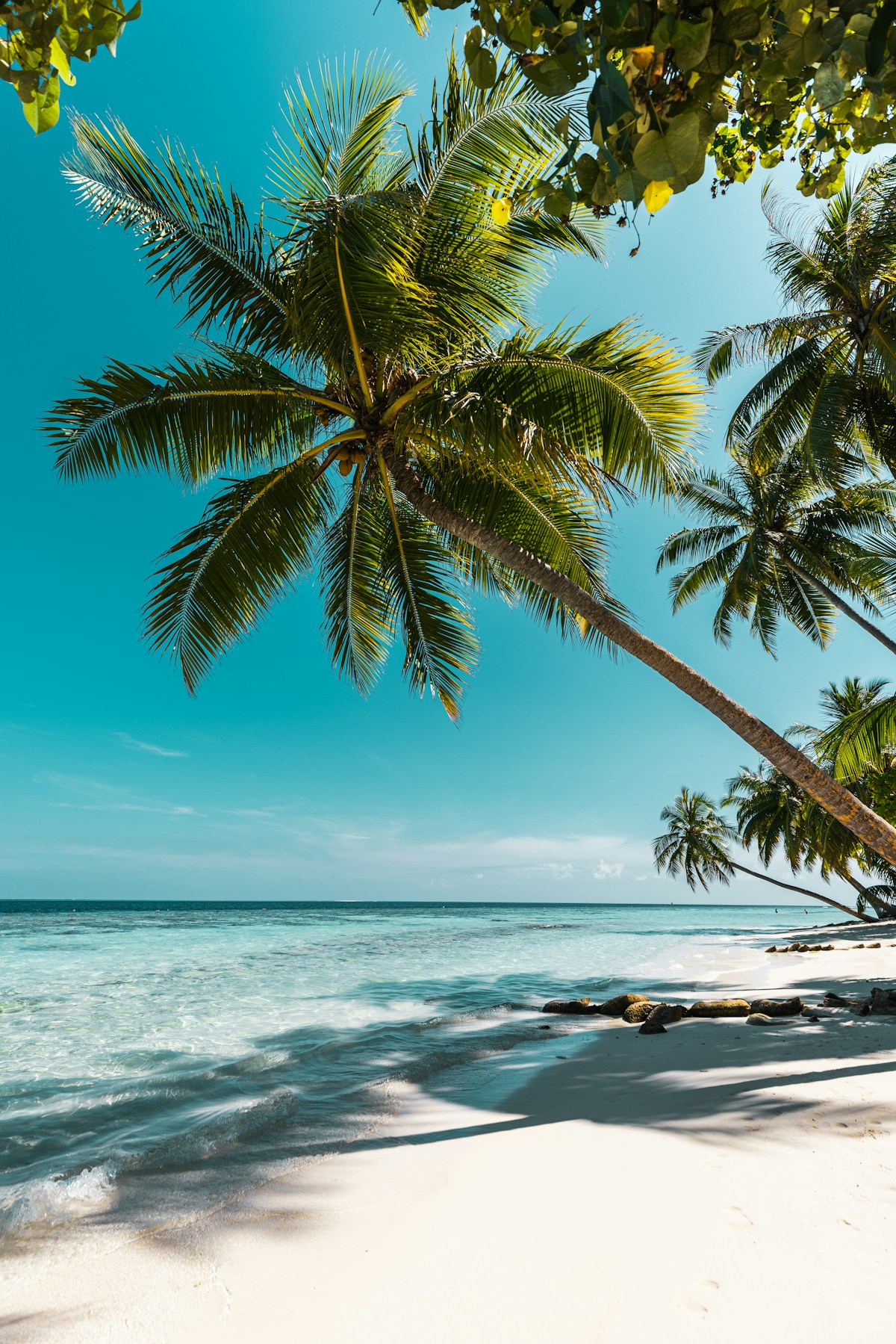 Tropical beach with palm trees, Malaysia best time to visit