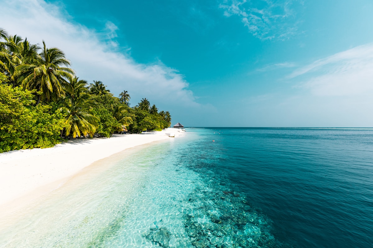 Tropical beach with palm trees and turquoise water, east coast Malaysia in May